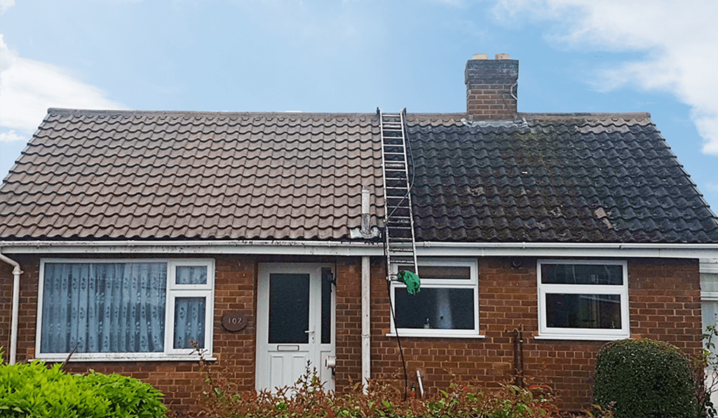 bungalow (Roof Cleaning Solutions reviews)