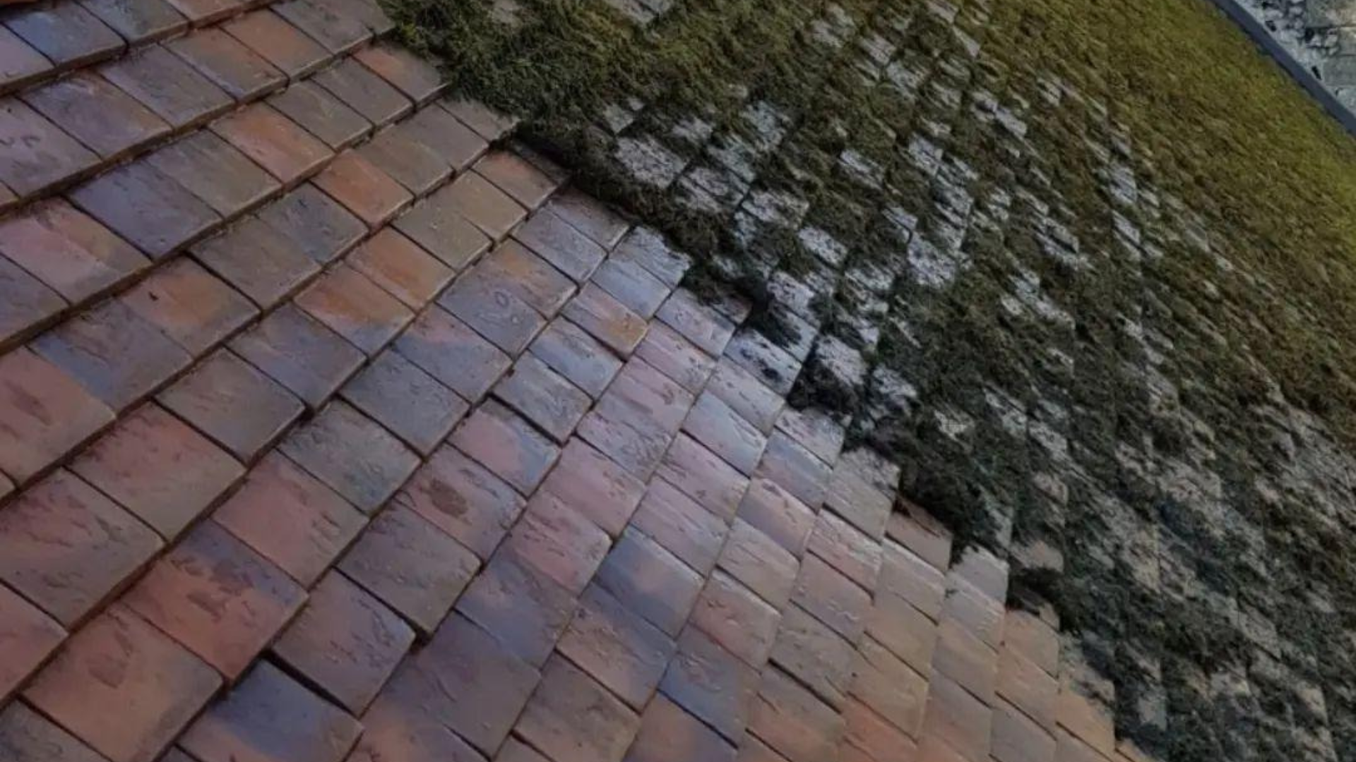 British roof cleaning